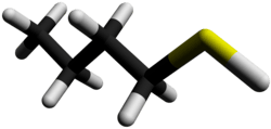 3D-stick model