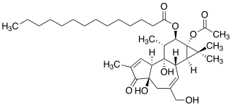 TPA