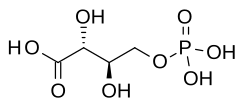 2D representation of the chemical structure of Q27104642.