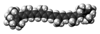 Space-filling model