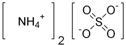 Ammonium sulfate Lewis structure
