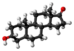 Ball-and-stick model of the androsterone molecule