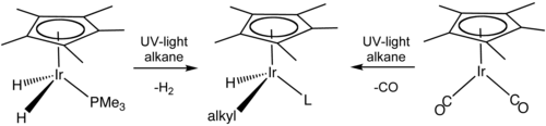 Skeletal formula presentation of a chemical transformation. The initial compounds have a C5H5 ring on their top and an iridium atom in the center, which is bonded to two hydrogen atoms and a P–PH3 group or to two C–O groups. Reaction with alkane under UV light alters those groups.