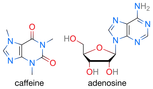 Two skeletal formulas: left – caffeine, right – adenosine.