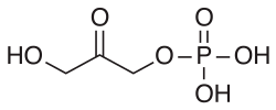 2D representation of the chemical structure of dihydroxyacetone phosphate .