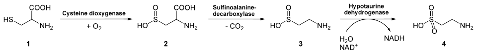reaction diagram