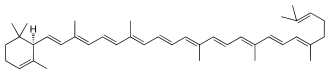 Skeletal formula