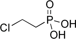 Skeletal formula