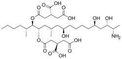 Fumonisin B1