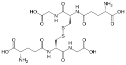 2D representation of the chemical structure of Glutathione disulfide .