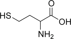 Skeletal formula