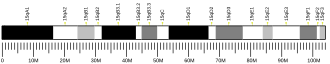 Chromosome 15 (mouse)