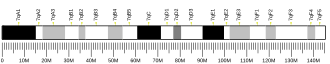 Chromosome 7 (mouse)