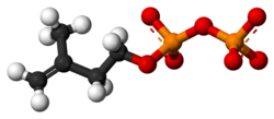 Ball-and-stick model of IPP