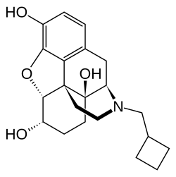 Skeletal formula