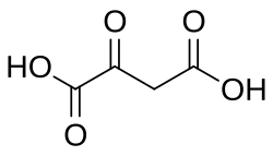 Skeletal structure