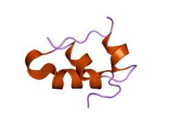2bn3: INSULIN BEFORE A HIGH DOSE X-RAY BURN