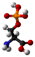 Ball-and-stick model
