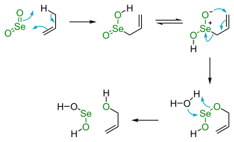 Allylic oxidation