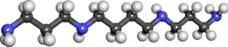 Ball and stick model of spermine