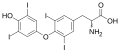 Thyroxine