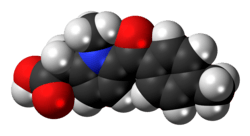 Space-filling model