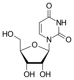Skeletal formula of uridine