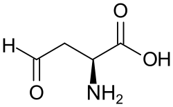 2D representation of the chemical structure of L-Aspartic-4-semialdehyde.