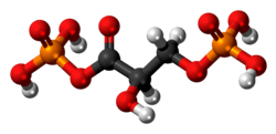 1,3-Bisphosphoglyceric acid molecule