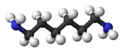 Ball and stick model of hexamethylenediamine