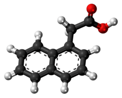 1-Naphthaleneacetic acid molecule