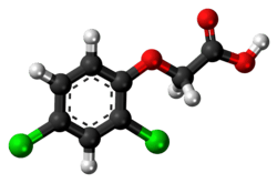 Ball-and-stick model of 2,4-dichlorophenoxyacetic acid