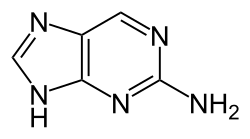 2-Aminopurine
