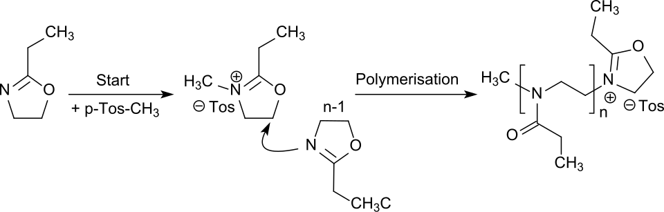 Kationische lebende Polymerisation von 2-Ethyl-2-oxazolin