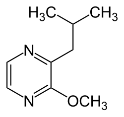 2d structure of 3-isobutyl-2-methoxypyrazine