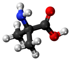 2-methylalanine molecule