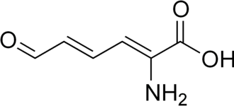 2D representation of the chemical structure of 2-Aminomuconic semialdehyde .