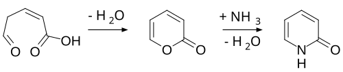 2-Pyridone synthesis from 2-pyran