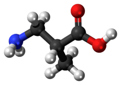 Ball-and-stick model of the 3-aminoisobutyric acid molecule
