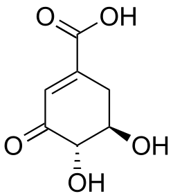 Chemical structure of 3-dehydroshikimic acid.