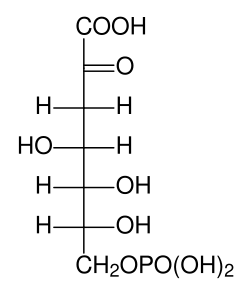 Chemical structure of 3-deoxy-D-arabino-heptulosonic acid 7-phosphate (DAHP).