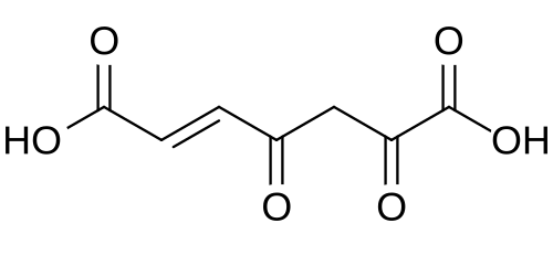 2D representation of the chemical structure of 3-Fumarylpyruvic acid.
