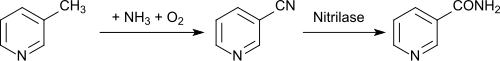 Nicotinsäureamid aus 3-Methylpyridin