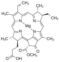2D representation of the chemical structure of Q27144788.
