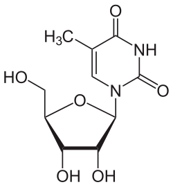 Skeletal formula of 5-methyluridine