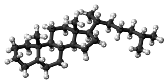 Ball-and-stick model of the coprostane molecule