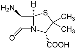 6-Aminopenicillanic acid