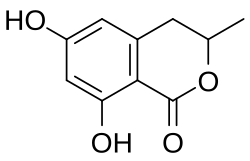 Chemical structure of 6-hydroxymellein