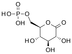 2D representation of the chemical structure of Q245503.