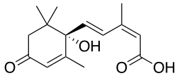 Stereo, skeletal formula of abscisic acid